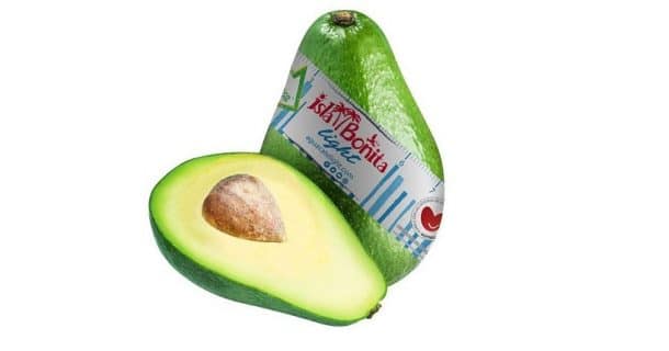 avocat light