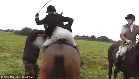 stop chasse
