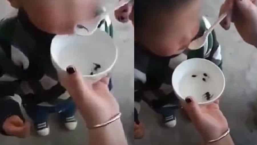 La Video D Une Mere Qui Donne Des Tetards A Manger A Son Bebe Pour Le Petit Dejeuner Fait Debat En Chine