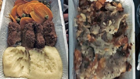 repas dégoûtant en avion