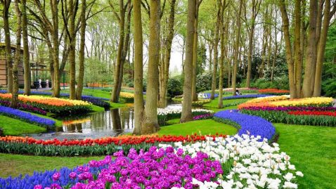 jardin