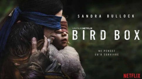 bird box challenge