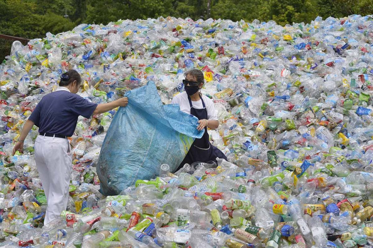 Ces Photos Qui Prouvent Les Ravages De La Pollution Plastique Sur La ...