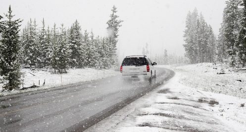 voiture-bloqué-neige-chien-survit-détail-réussit