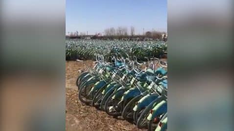 rewind velo chine