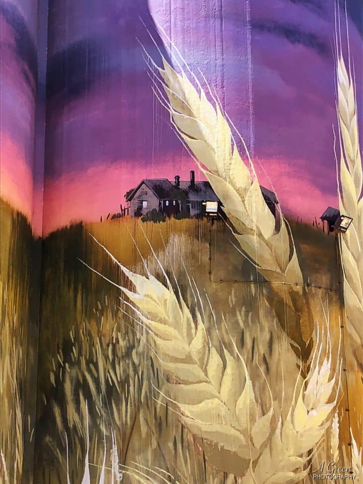 silos-street-art-australie7