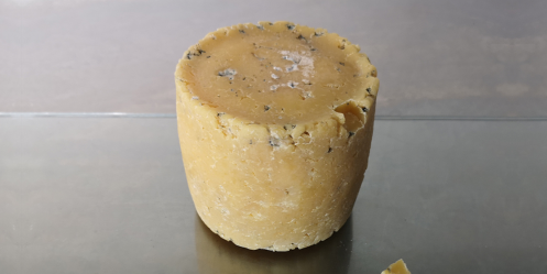 Un fromage créé à partir de bactéries humaines exposé à Londres