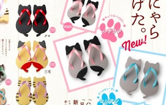 Trop Mignon Une Marque Japonaise Propose Des Sandales En Forme De Chat