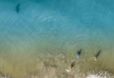 ce-netait-quune-sortie-en-famille-a-quelques-metres-enfants-il-filme-un-requin-avec-son-drone