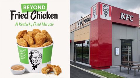 Poulet vegan KFC