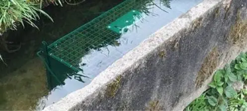 elle-decouvre-une-cage-sous-leau-et-fait-une-horrible-decouverte
