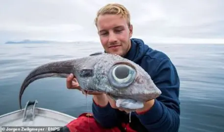 poisson étrange