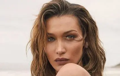 bella-hadid-ce-haut-transparent-qui-devoile--tetons-fait-exploser-la-toile