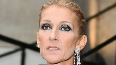 céline dion attaque militant