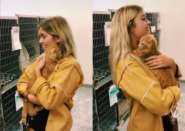 Chat qui adopte une femme