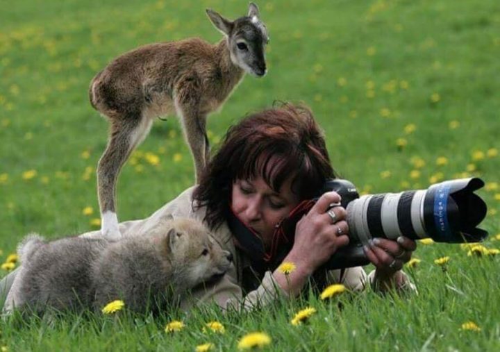 Photos animalières 21