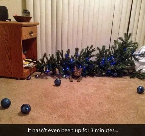 Animaux noël 2