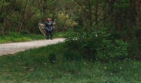 google-maps-4-nouvelles-photos