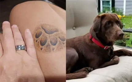 Bague chienne