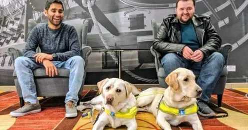 Deux amis aveugles agressés sur leurs chiens-guides