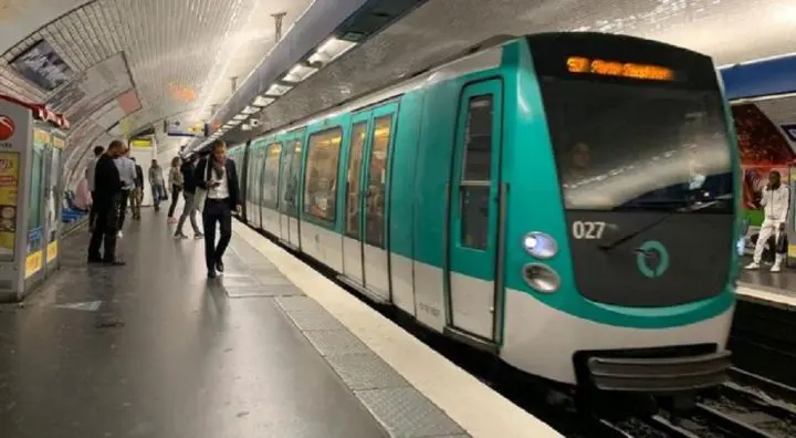 metro-parisien-des-rats-des-chauves-souris-des-renards-quels-sont-les-animaux-qui-sy-trouvent
