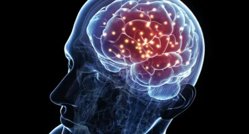 coronavirus cerveau
