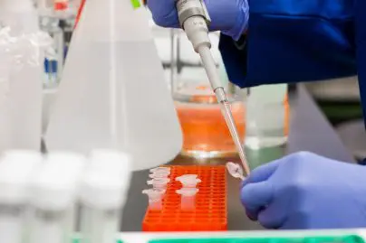 Coronavirus né dans un laboratoire en Chine