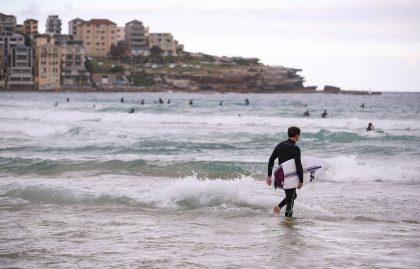 surfeur australie requin attaque