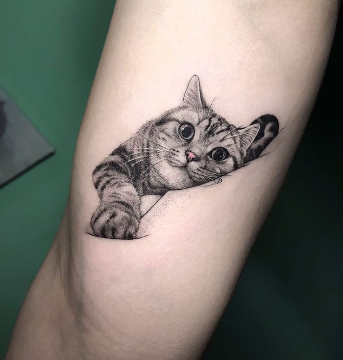 Les 25 Tatouages De Chats Les Plus Fous 1302