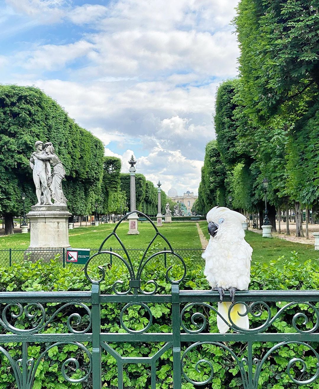 Paris : ces grands parcs parisiens ouverts 24h/24h cet été