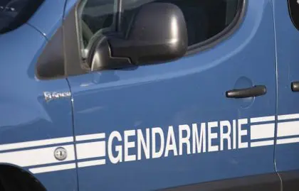 nouveau né bébé carton vétérinaire