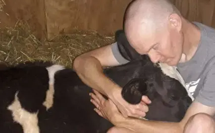 une-vache-sauvee-de-labattoir-cree-un-lien-incroyable-avec-ses-proprietaires