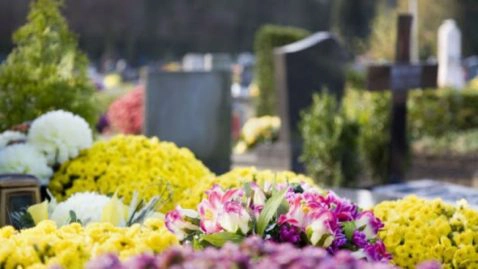 Il fleurit les tombes des défunts oubliés avec les chrysanthèmes invendus