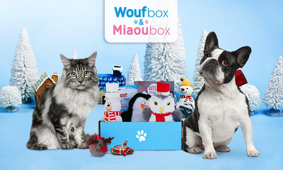 Faites un cadeau de Noël à votre chien ou votre chat avec la Woufbox et