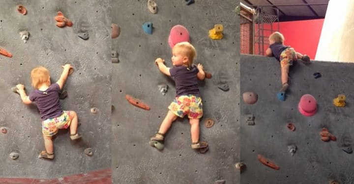 A 19 Mois Ce Bebe Escalade Un Mur De 19 Metres De Haut Video