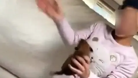 Elle frappe un chiot sur une vidéo Snapchat