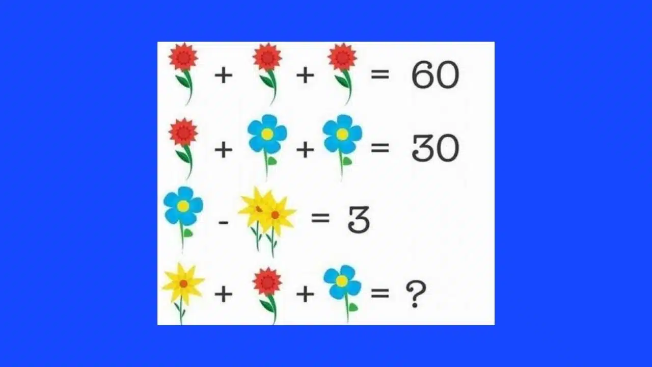 enigme fleurs