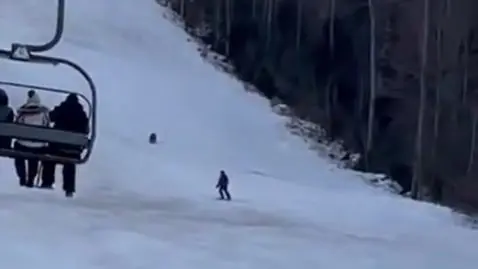 Ski ours