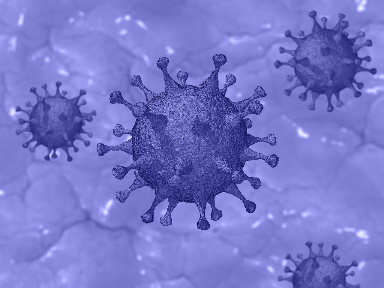 Can our antibodies kill the virus?