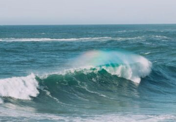 Fukushima : eau contaminée déversée dans l'océan Pacifique