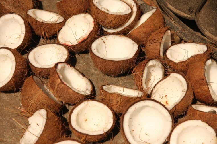 Noix de coco