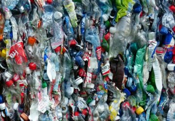 recycler des bouteilles en plastique pour faire de la vanille