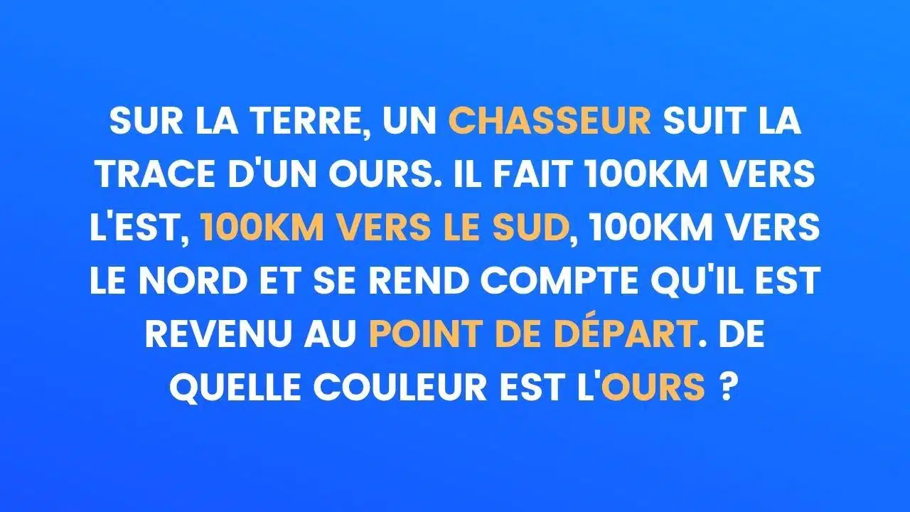 enigme ours
