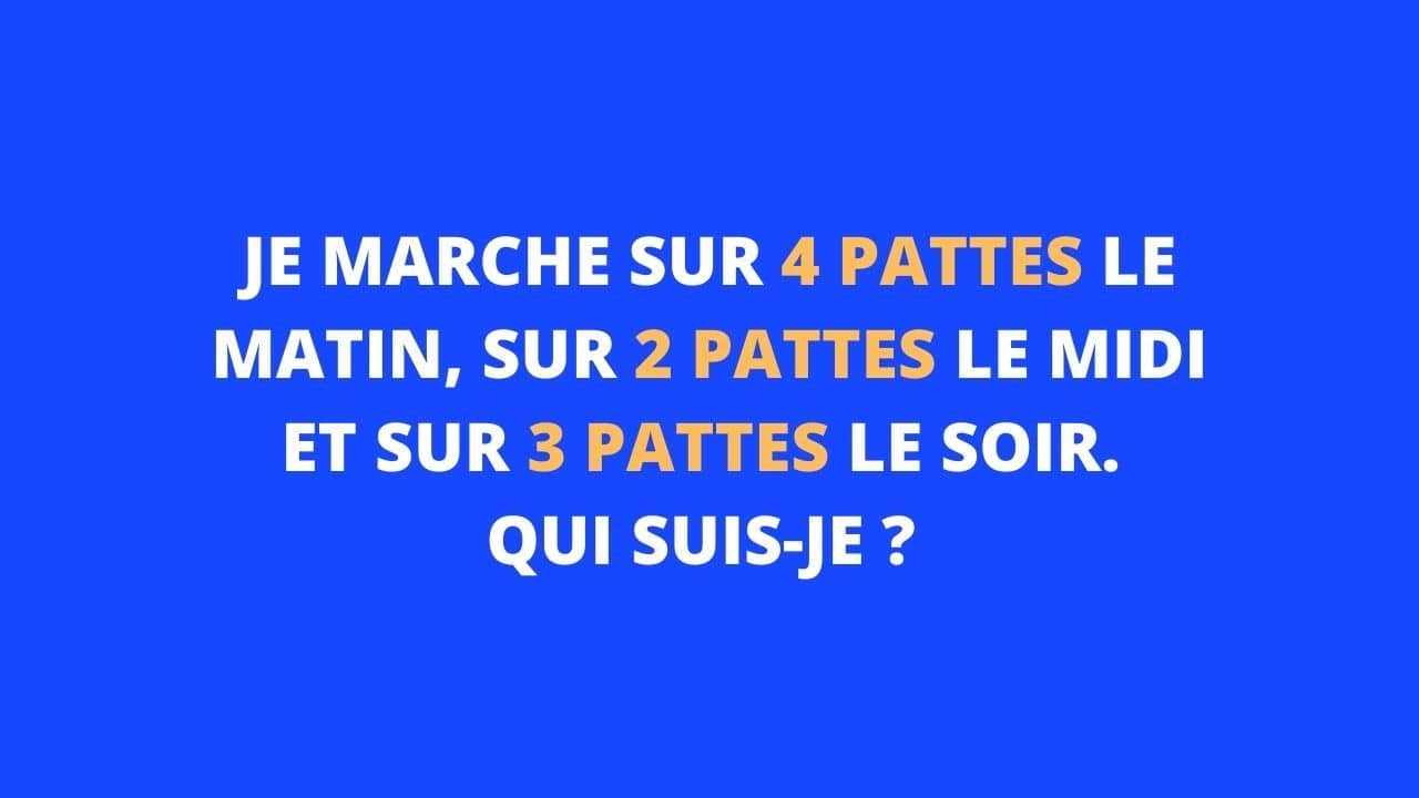enigme pattes