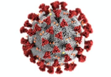 Covid : une nouvelle épidémie à venir ?