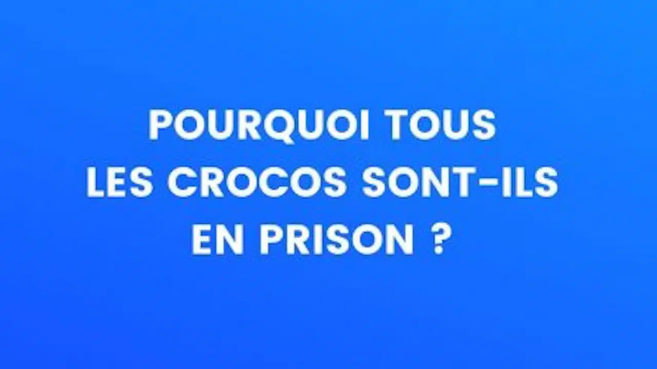 blague crocos