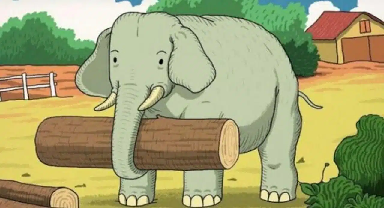 elephant