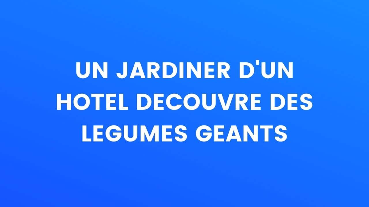 humour
