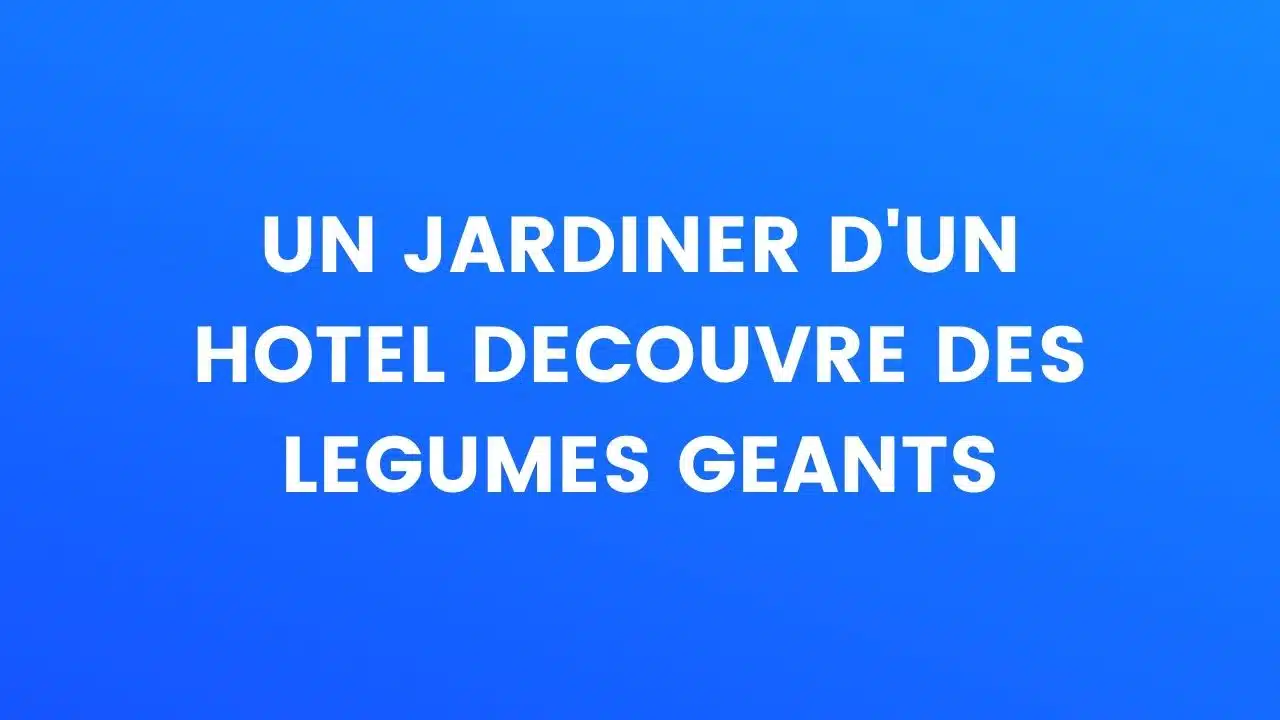 humour