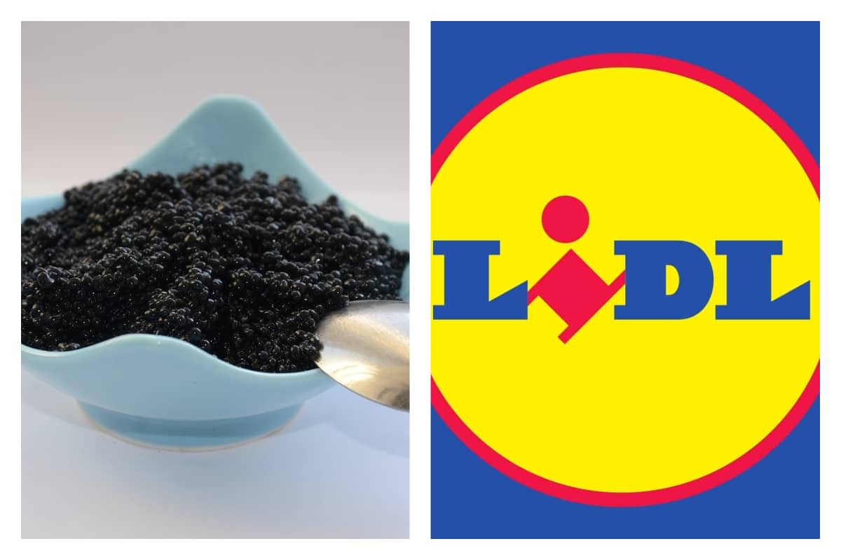 Du caviar à bas prix chez Lidl !